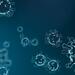 Coronavirus (Covid-19) : ce qu’il faut savoir